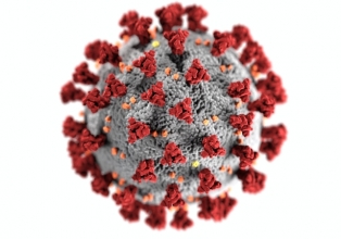 Fiocruz tenta desenvolver medicamento oral contra o vírus da Covid