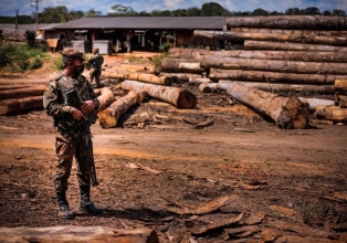 Desmatamento na Amazônia Legal tem queda de 14%