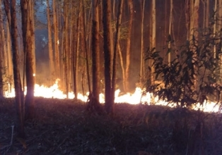Incêndio atinge mais de 100 mil metros quadrados de área no município de Catanduvas