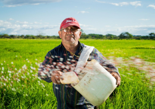 Plano Safra da Agricultura Familiar: Conab conta com R$ 50 milhões para subvenção de produtos da sociobiodiversidade em 2023